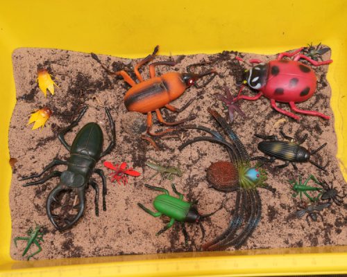 Back-Outdoor-Sandbox